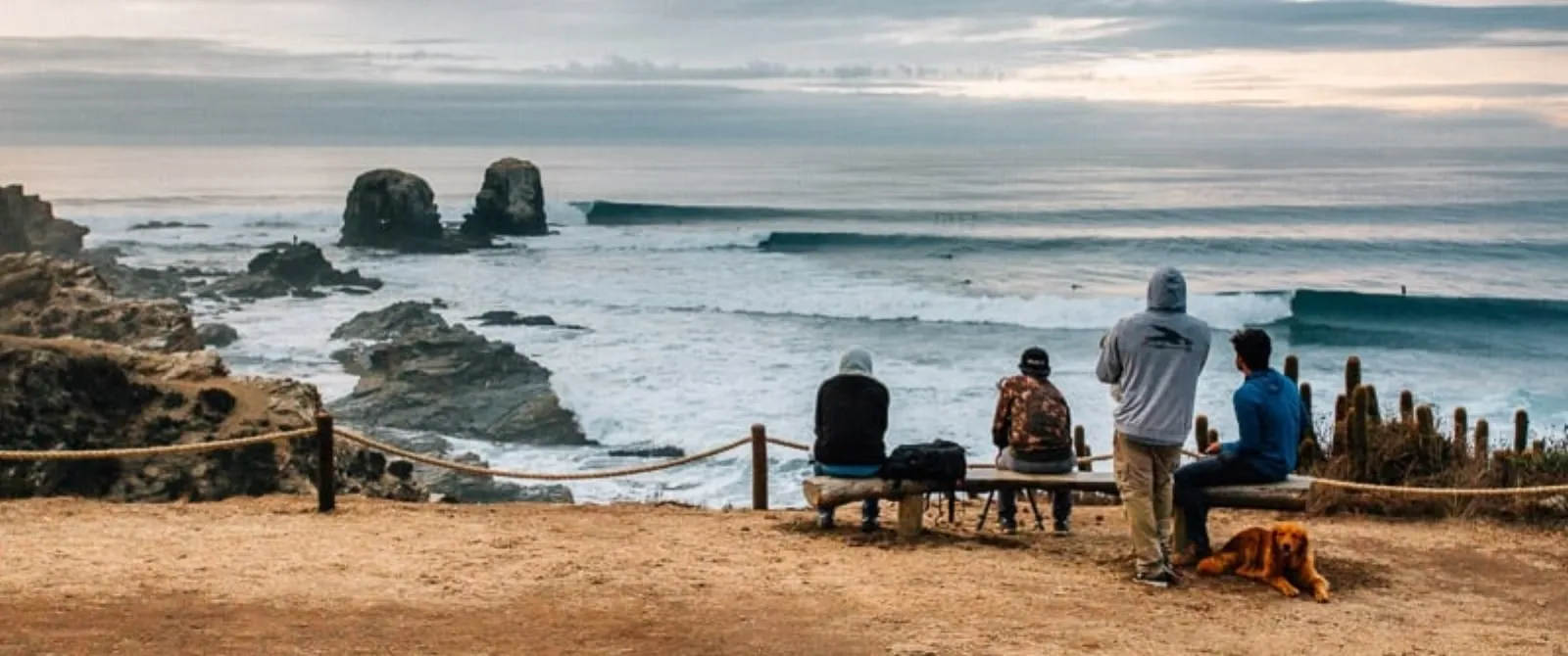 Punta de Lobos