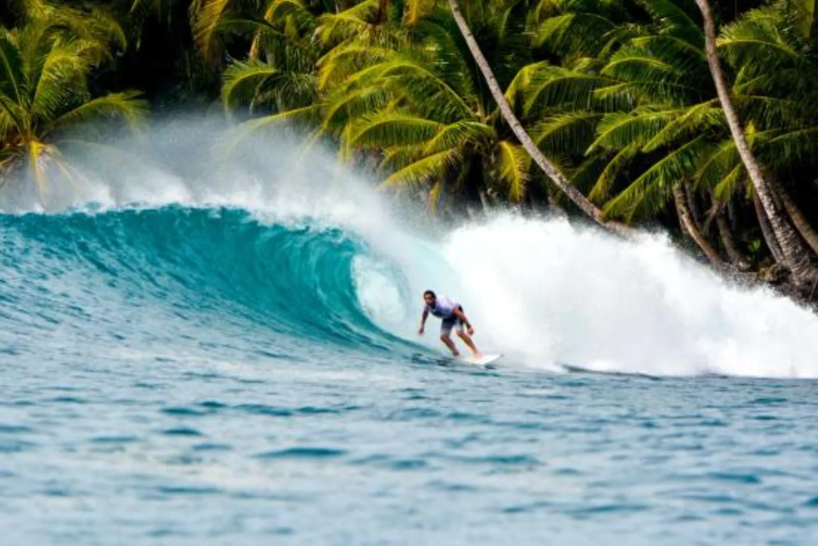 Mentawai